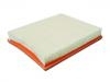 Air Filter:92060868