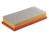 Air Filter:17801-0N040