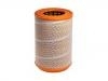 Air Filter:1387549