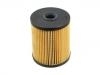 Fuel Filter:5015581AD