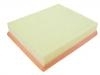 Air Filter:1109103-S0001