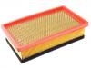 Air Filter:1109190-V02