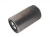 Fuel Filter:500039731