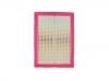 Air Filter:151000079AA